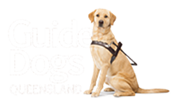 guide-dogs-queensland